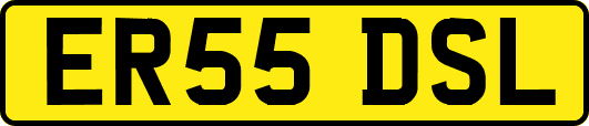 ER55DSL