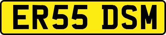 ER55DSM