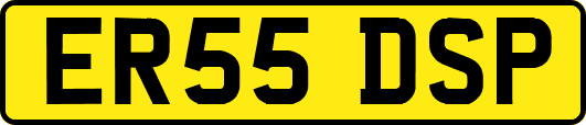 ER55DSP