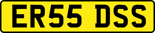 ER55DSS