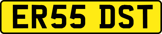 ER55DST