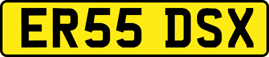 ER55DSX