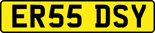 ER55DSY