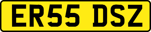 ER55DSZ