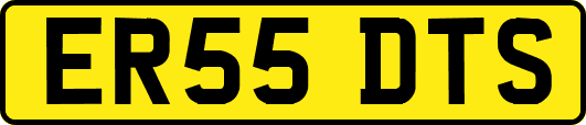 ER55DTS