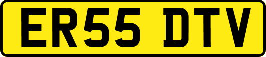 ER55DTV