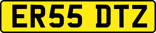ER55DTZ