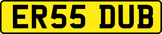 ER55DUB