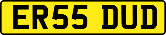 ER55DUD