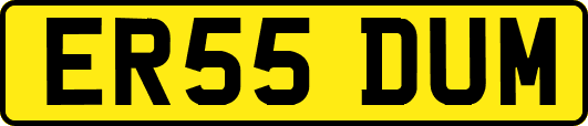 ER55DUM