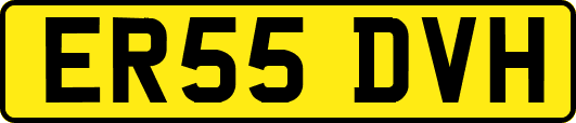 ER55DVH