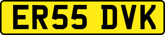 ER55DVK