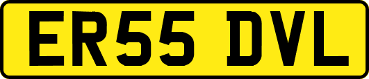 ER55DVL