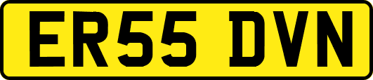 ER55DVN
