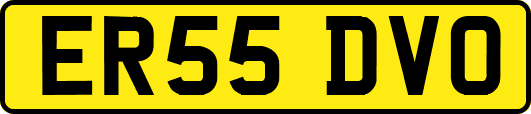 ER55DVO