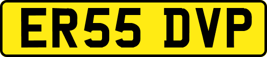 ER55DVP