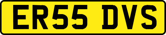 ER55DVS