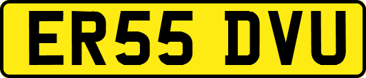 ER55DVU