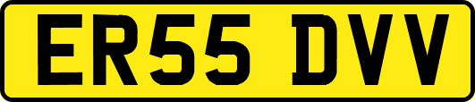 ER55DVV