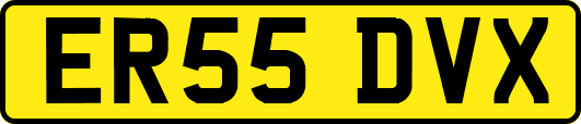 ER55DVX