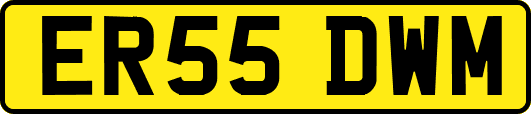 ER55DWM