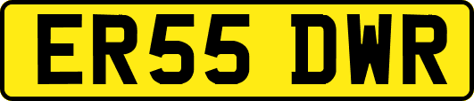 ER55DWR