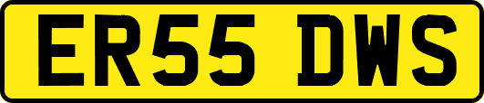 ER55DWS
