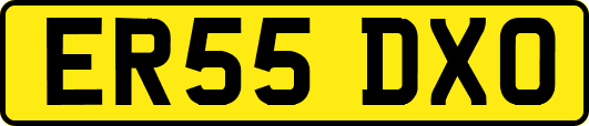 ER55DXO