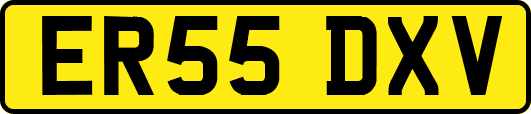 ER55DXV