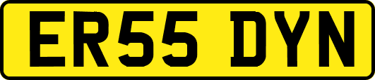 ER55DYN