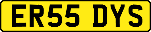 ER55DYS