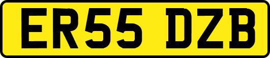 ER55DZB
