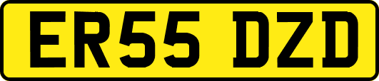 ER55DZD