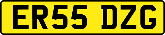 ER55DZG