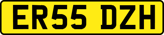 ER55DZH