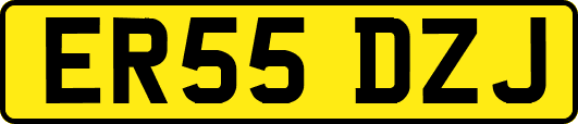 ER55DZJ