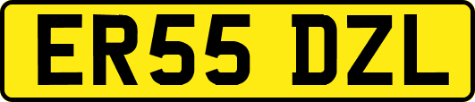 ER55DZL