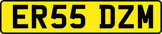ER55DZM