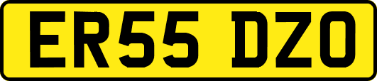 ER55DZO