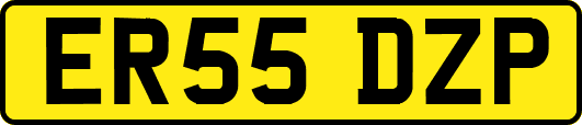 ER55DZP
