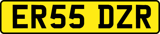 ER55DZR