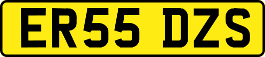 ER55DZS