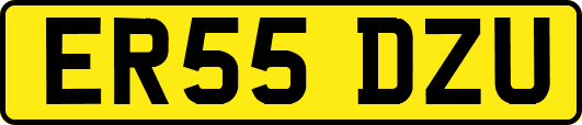 ER55DZU