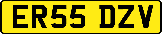ER55DZV