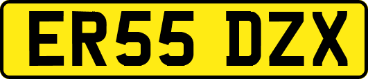 ER55DZX
