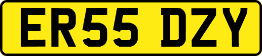 ER55DZY