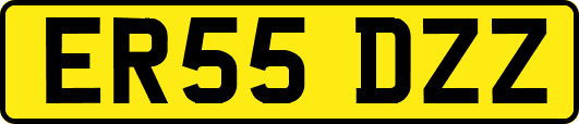 ER55DZZ