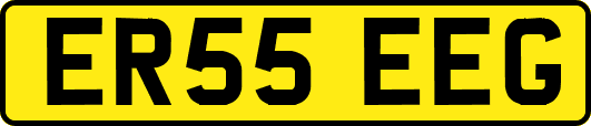 ER55EEG