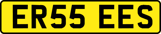 ER55EES