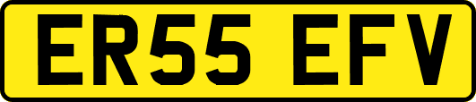 ER55EFV
